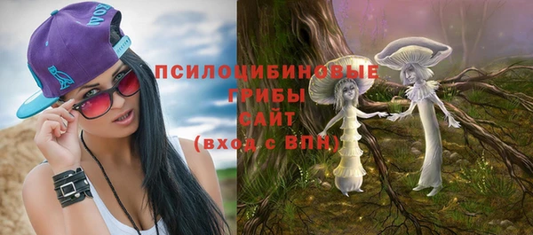 МДПВ Алзамай